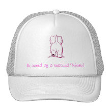 Im owned by a rescued westie - Pink Hats