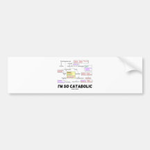 I'm So Catabolic (Proteinogenic Amino Acids) Bumper Sticker