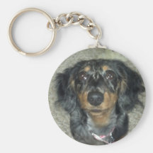 'I'm So Cute' Dachshund Puppy Keychain