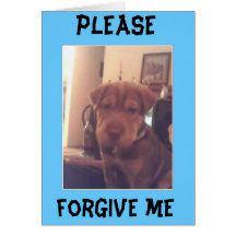 im sorry cards