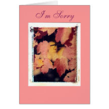 I'm Sorry Greeting Cards