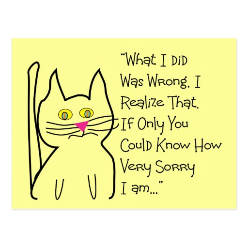 "I'm Sorry" Greeting Cards--Cat Design Post Card