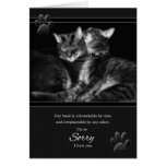 I'm Sorry Please Forgive Me Tabby Cats cards