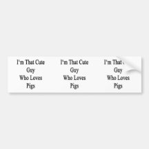 I'm That Cute Guy Who Loves Pigs Bumper Sticker