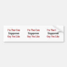 I'm That Cute Singaporean Guy You Like Bumper Stickers