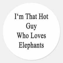 I'm That Hot Guy Who Loves Elephants Stickers