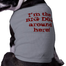 I'm the BIG DOG around here! Pet T-shirt