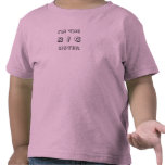 I'm the BIG Sister Tshirts