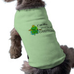 Im The Queen Of Everything (Frog) Pet Shirt