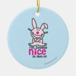 I'm Totally Nice Ornament