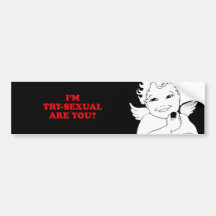 I'M TRY-SEXUAL, ARE YOU BUMPER STICKERS