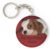 I'm Watchin' You! keychains