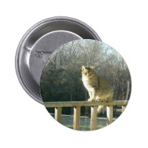I'm watching you! pin