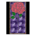 Image1 cards