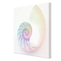 Image colorée artistique de nautilus impressions sur toile