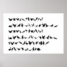 image d'oiseau affiches