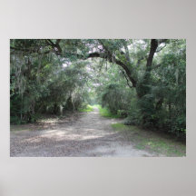 image d'un chemin dans le pays posters