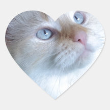image.jpg sticker
