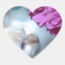 image.jpg stickers