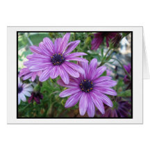 Image pourpre de fleurs ! cartes de vœux
