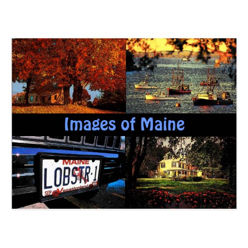 Images of Maine Postcard