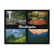 Images of Washington postcard