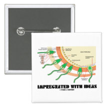 Imbibé des idées (fertilisation d'oeufs de sperme) badges avec agrafe