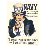 Uncle Sam Posters