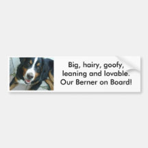 IMG00142, Big, hairy, goofy,leaning and loveabl... Bumper Stickers