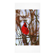 img026  Holiday Greetings Personalized Photo Card