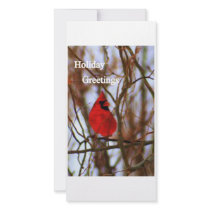 img026  Holiday Greetings Personalized Photo Card