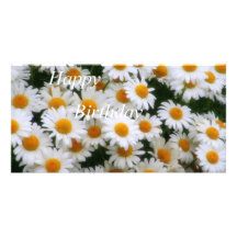 IMG_0066   Happy Birthday Photo Greeting Card