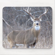 IMG_0327 MOUSE MATS