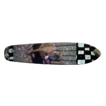 IMG_0330, IMG_0486 SKATE DECKS