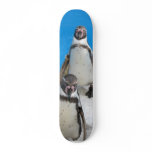 Img_0402 Skate Board