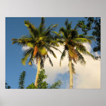 IMG_0421 PRINT