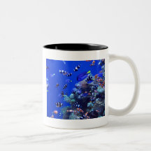 IMG_0829 COFFEE MUGS
