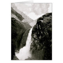 IMG_1187.jpg Greeting Card