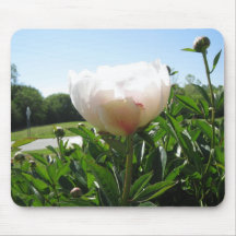 IMG_1503 MOUSE PAD