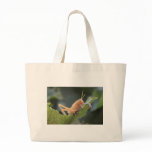 IMG_1658_1 CANVAS BAGS