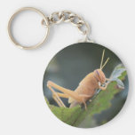 IMG_1658_1 KEY CHAIN
