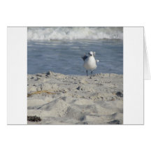 IMG_2329.JPG CARDS