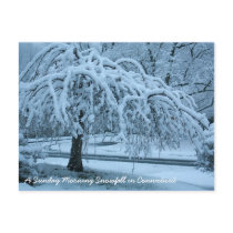 IMG_2425_2, A Sunday Morning Snowfall in Connec... Post Card