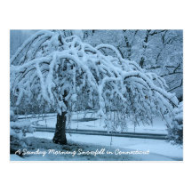 IMG_2425_2, A Sunday Morning Snowfall in Connec... Post Card