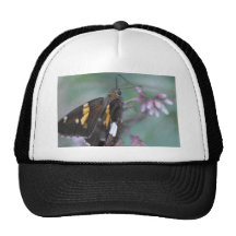 IMG_2745 HATS