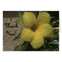 IMG_2879 (1), ThankYou! Cards