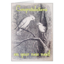 IMG_2979 GREETING CARDS