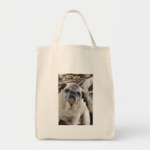 IMG_3041 BAG