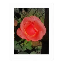 IMG_3046 CARTES POSTALES
