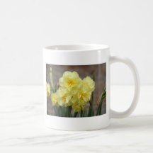 IMG_4484.JPG MUGS